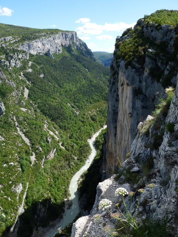 Les Jardins De L'Ermitage Bed & Breakfast Les Salles-sur-Verdon Eksteriør bilde